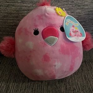 8” Cookie Squishmallow